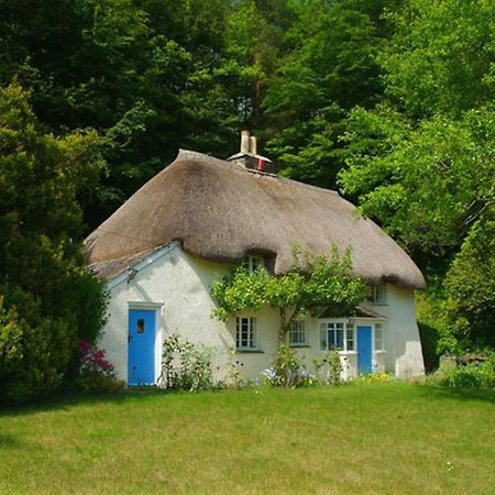 Lew Quarry Cottage Lewdown Luaran gambar