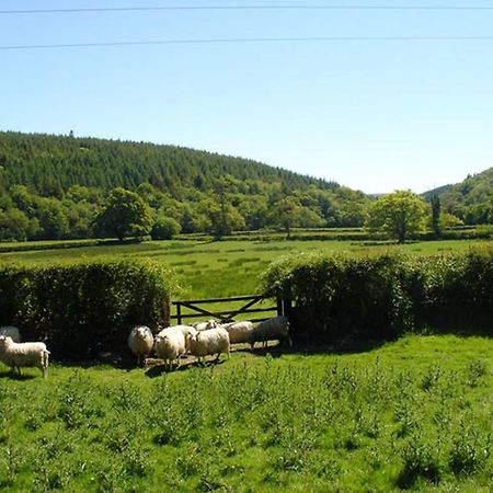 Lew Quarry Cottage Lewdown Luaran gambar