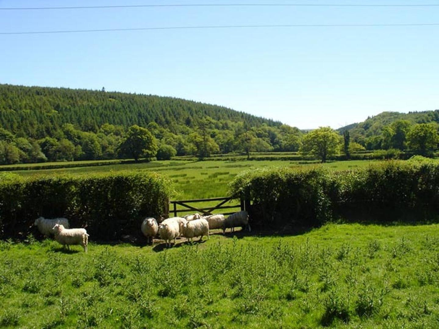 Lew Quarry Cottage Lewdown Luaran gambar